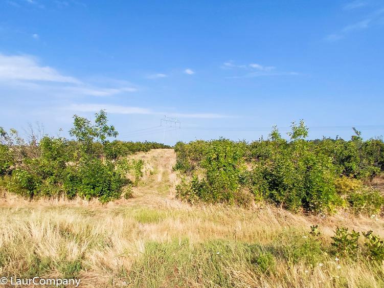 Teren extravilan de 7320 mp, în Lunca Corbului