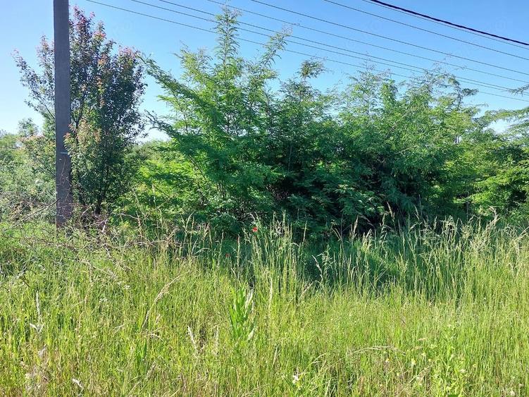 Teren vanzare Filia?i, 2018 mp, 15.000 euro, strada 24 Ianuarie - 5