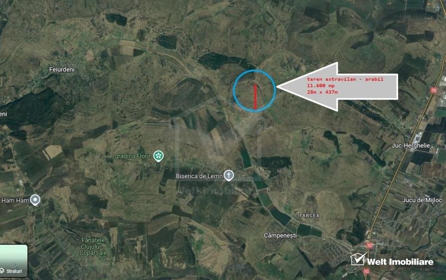 Teren agricol extravilan de 11600 mp, în Feiurdeni