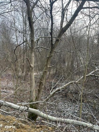Teren de 868 mp, în Cicârlău