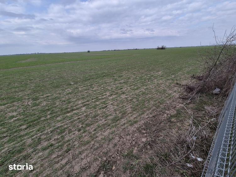 Teren de 13852 mp, în Domnești