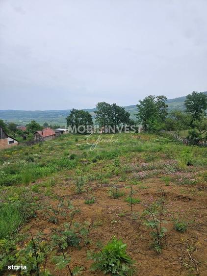 Teren pentru constructie casa P+E+M, 2 parcele, Pianu de Sus - 3