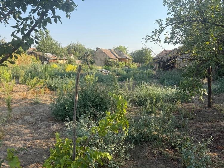 Teren Construcții intravilan de 2400 mp, în Central