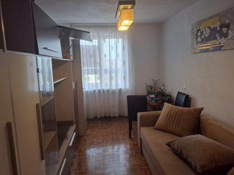 Apartament cu 2 camere decomandat în Terezian
