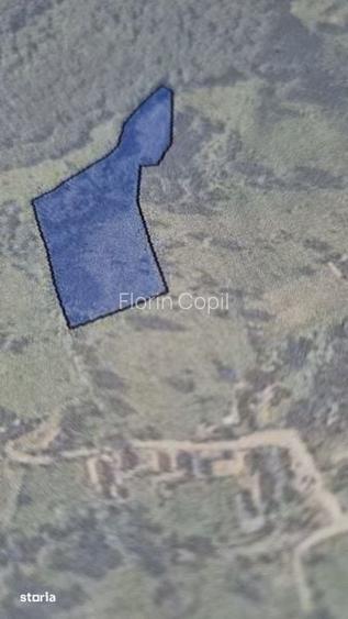 De vinzare teren extravilan sat.Poieni com.Densus jud Hunedoara