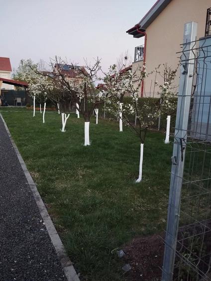 Teren de 595 mp, în Săcălaz