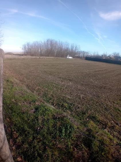Teren de 1643 mp, în Răzoarele