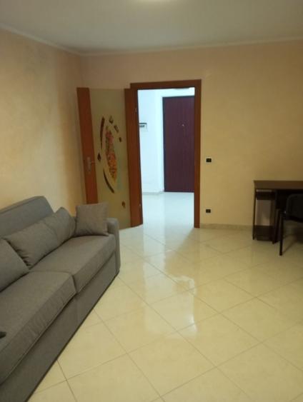 Apartament cu 2 camere în Alexandru cel Bun