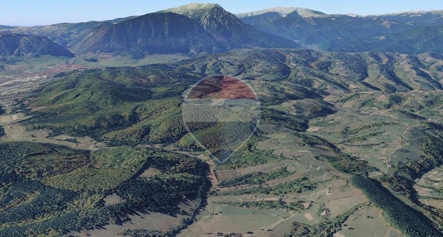 Teren agricol extravilan de 3906 mp, în Poiana Mărului