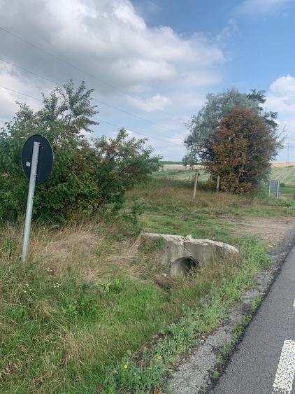 Teren de 7500 mp, în Siret