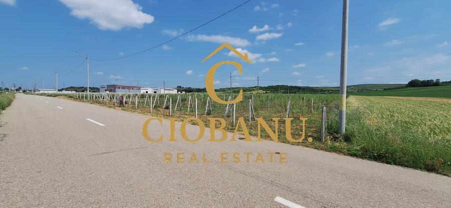 Teren agricol intravilan de 9000 mp, în Exterior Nord