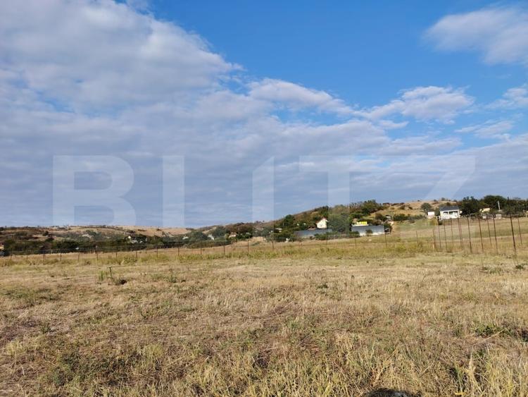 Teren agricol extravilan de 2100 mp, în Exterior Vest