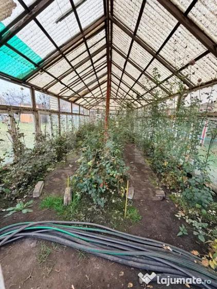 Casă cu 7 camere cu Teren 2285 Mp în Tohanu Vechi