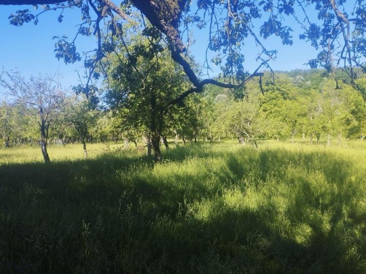 Casă cu 2 camere în Buciumi