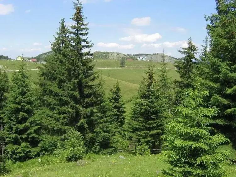 Teren intravilan de 10238 mp, în Fundățica