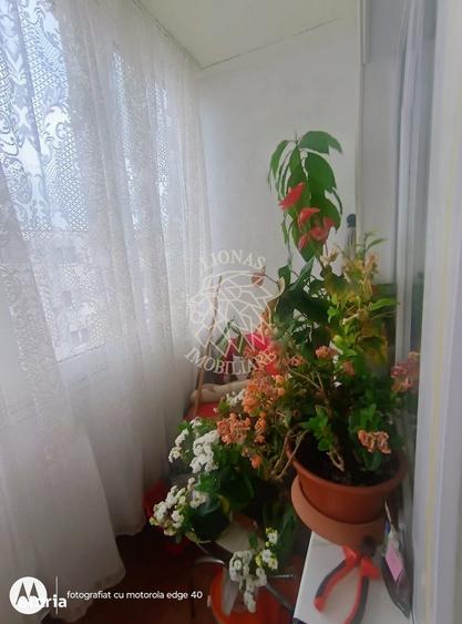 Apartament doua camere Gherla central strada Mesteacanului - 12