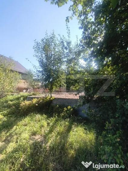 TEREN INTRAVILAN DE VANZARE - LUNCA MURESULUI 700 MP - 7