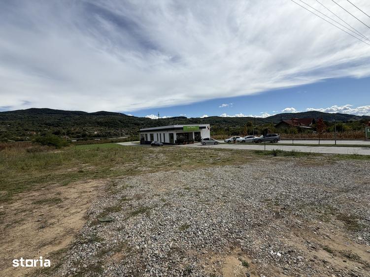 Teren de 13000 mp, în Bujoreni