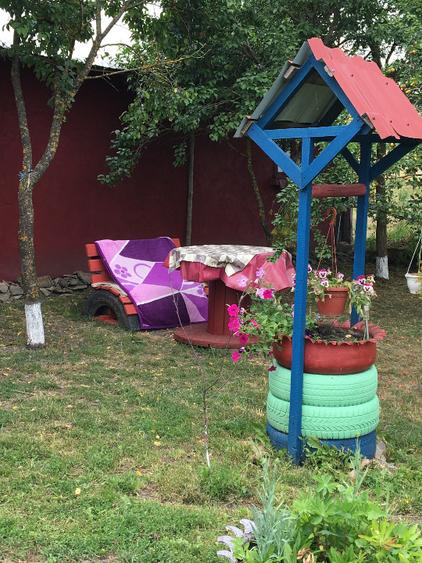 Casă individuală cu 5 camere cu Teren 4500 Mp în Viișoara