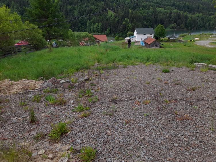 Teren de 1000 mp, în Colibița