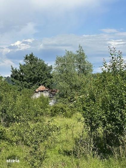 Teren de 3600 mp, în Cașin