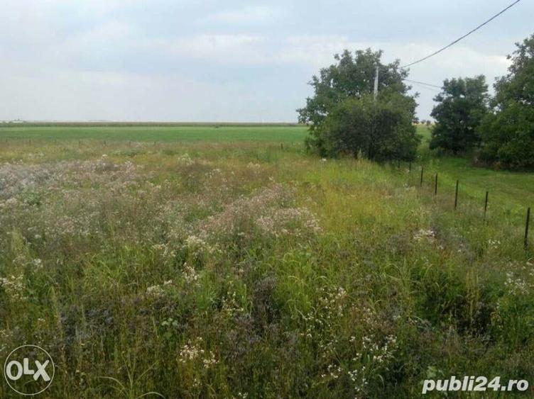 Teren de 4000 mp, în Livedea