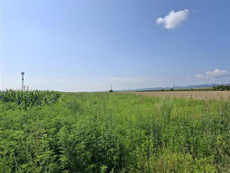 Teren intravilan de 1600 mp, în 9 Mai