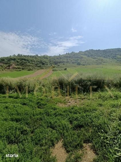 Teren de 2760 mp, în Sava