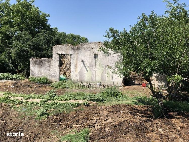 Spațiu comercial, în Cetatea