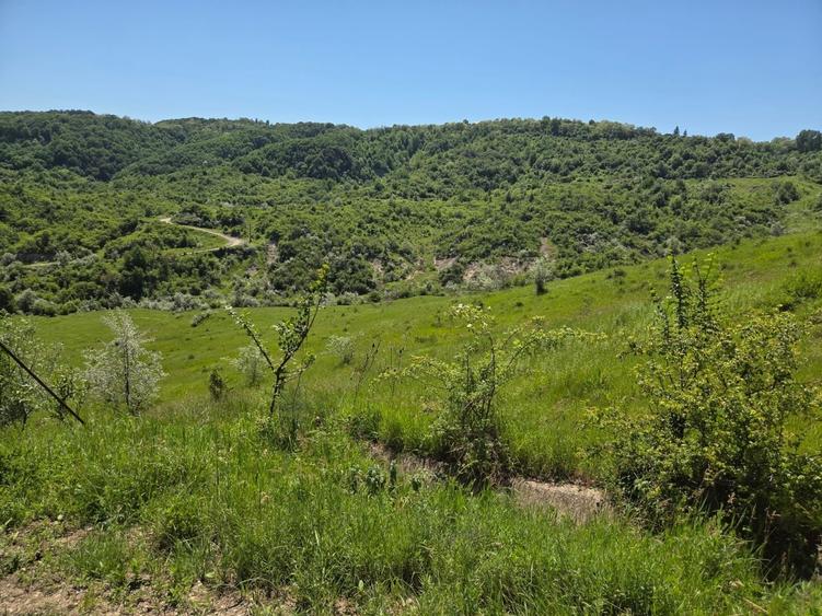 Casa de vanzare, jud prahova la 12km de valenii de munte - 2