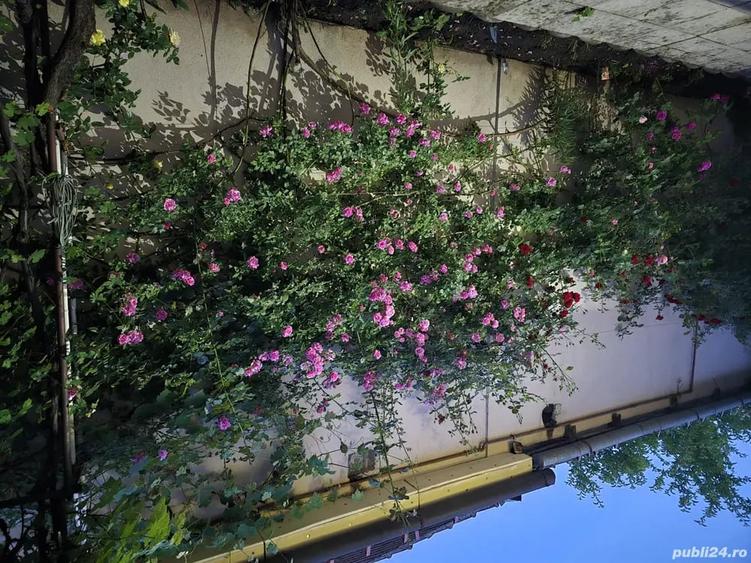 Casă cu 5 camere cu Teren 460 Mp în Calea Dumbrăvii