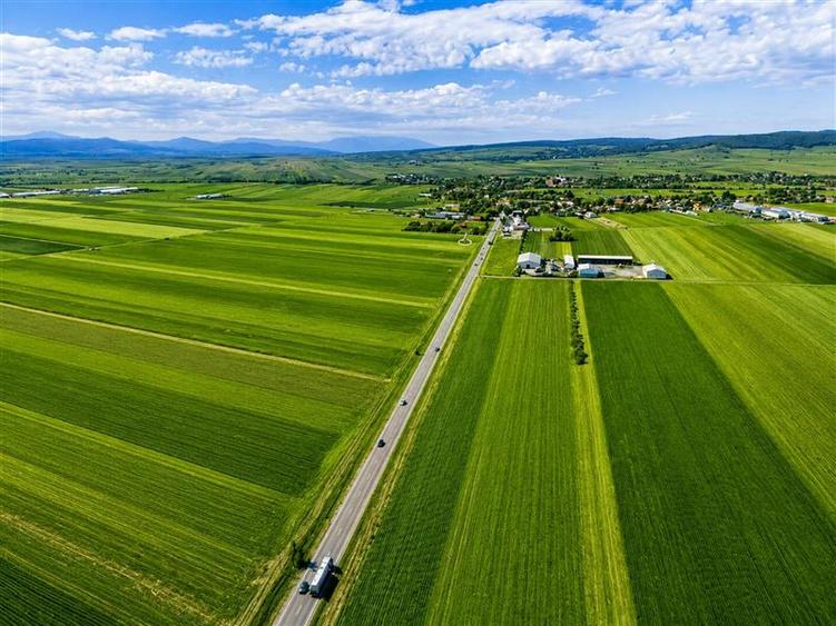 Teren Construcții intravilan de 7500 mp, în Cernat
