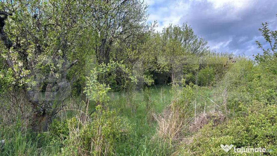 Teren extravilan de vanzare, 2.670 mp, Bistrita - 1