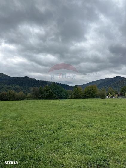 Teren de 1023 mp, în Alexandru cel Bun