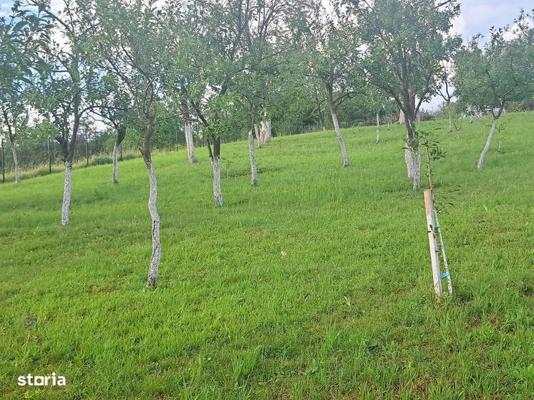 Teren de 2400 mp, în Galda de Jos