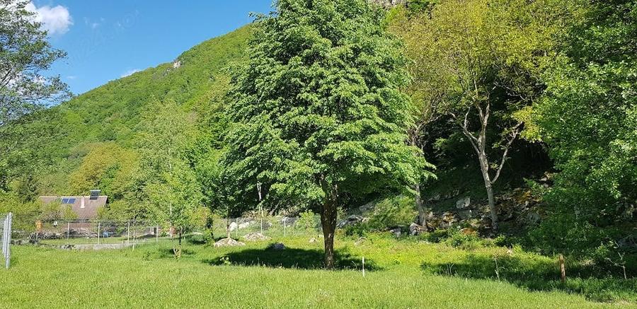 Teren de 678 mp, în Râu de Mori