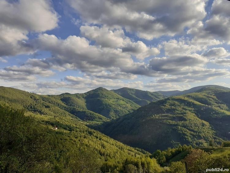 Casă în Plopi