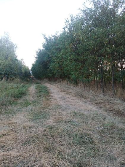 Teren de 2000 mp, în Horodnic