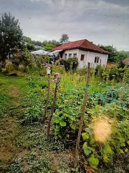 Casă cu 4 camere în Beba Veche