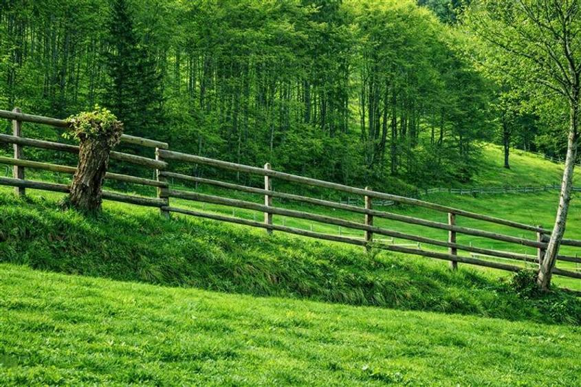Teren Construcții intravilan de 6966 mp, în Bran