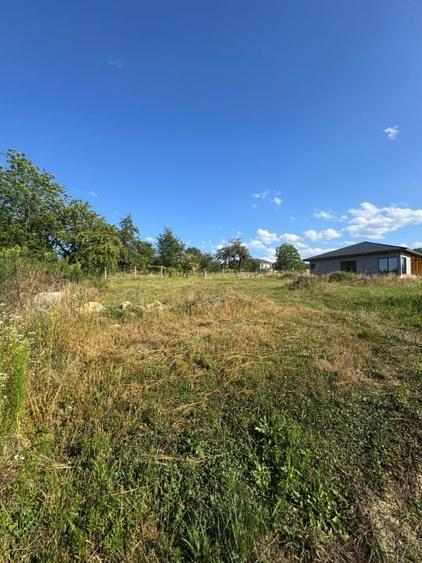 Teren Construcții intravilan de 1350 mp, în Satu Nou de Jos