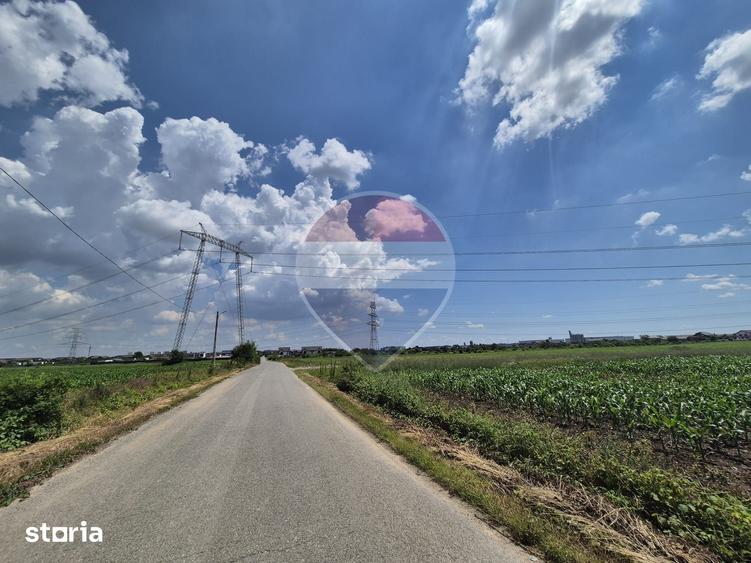 Teren intravilan de vanzare 4.087 mp Clinceni Olteni Ilfov - 1