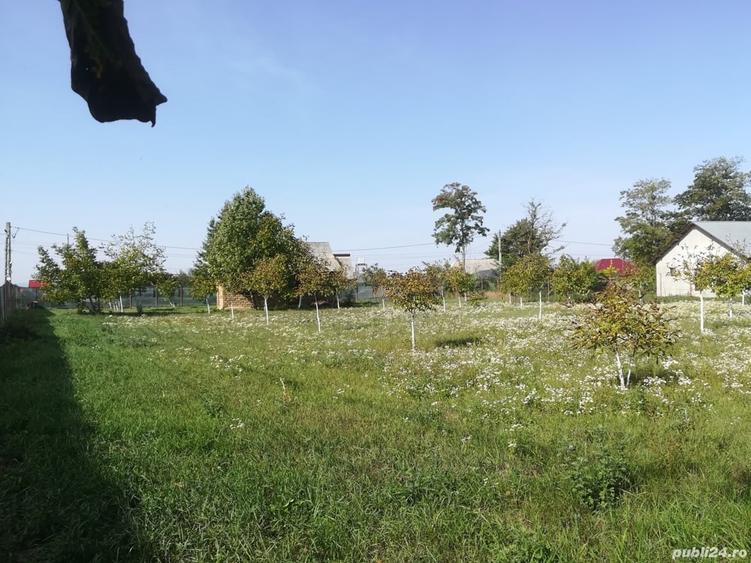 Teren de 1845 mp, în Costișa