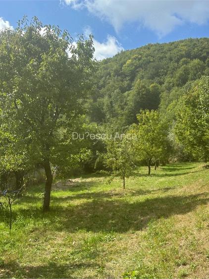 Teren de 2000 mp, în Malu cu Flori