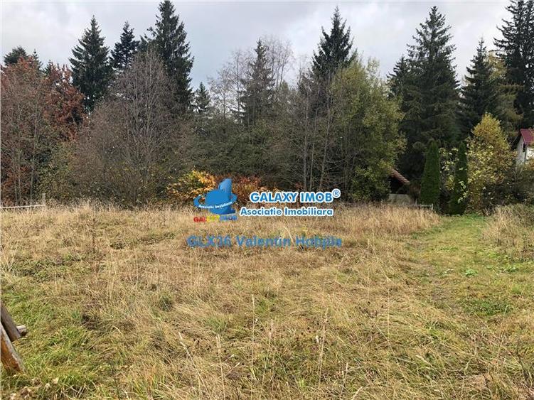 Teren Construcții intravilan de 850 mp, în Clăbucet