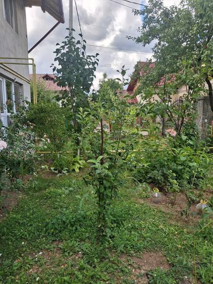 Casă în Brebu