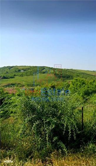 Teren intravilan de vanzare in Bucium - Strada Fermei - 2