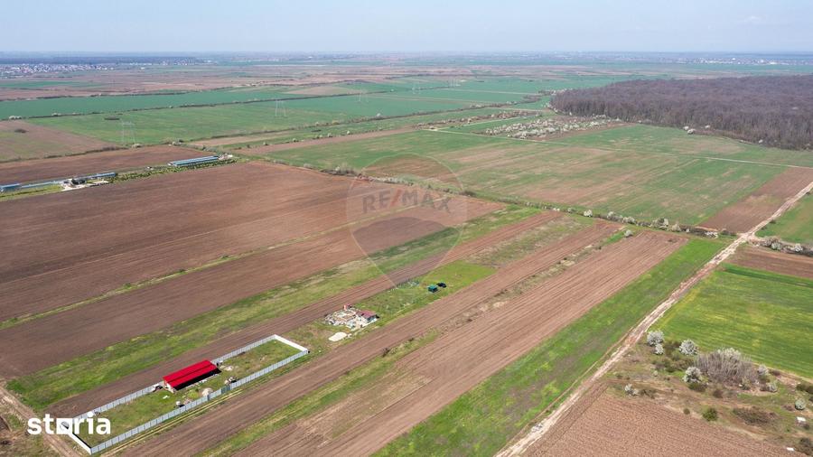 Teren de 500 mp, în Săbăreni
