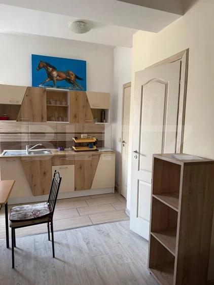 Apartament cu o camera si terasa, curte comuna, Zona Steaua - 275 euro - 10