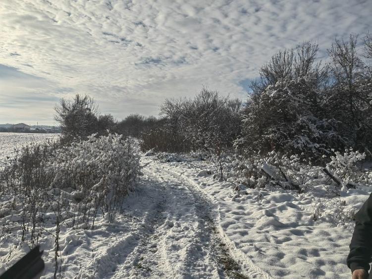 Teren de 4400 mp, în Bolintin-Deal